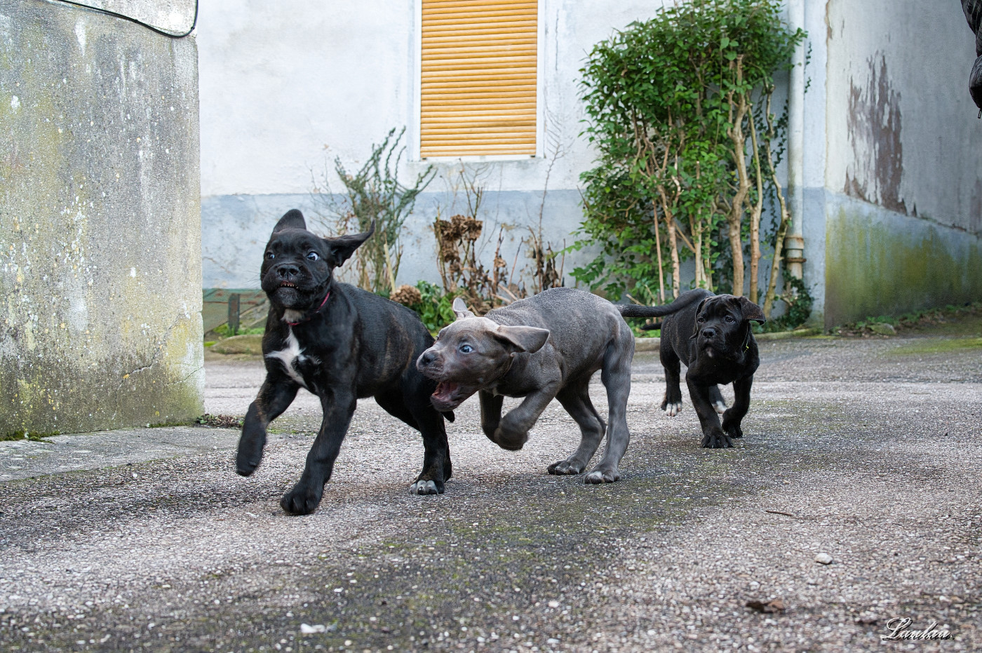 L'heure des départs