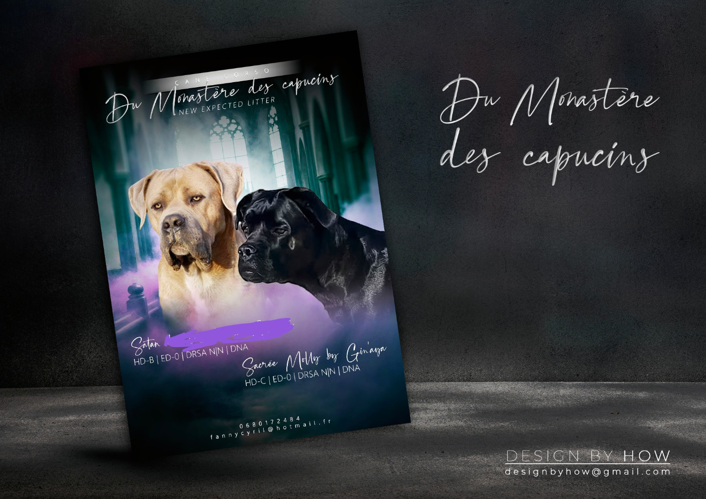 Du Monastère Des Capucins - Cane Corso - Portée née le 01/12/2025
