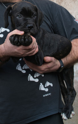 Akka du monastère des capucins