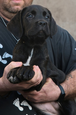 A'Raya du monastère des capucins